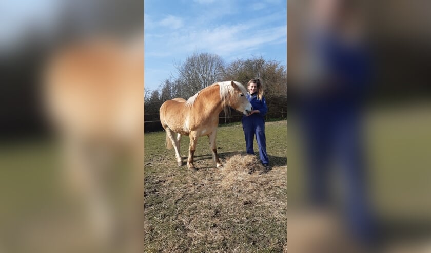 <p>Heidi Lukasse uit Wolphaartsdijk loopt stage op de kinderboerderij.</p>