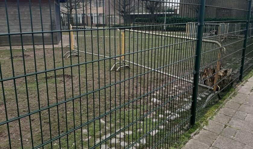 hertenkamp, dierenkamp
