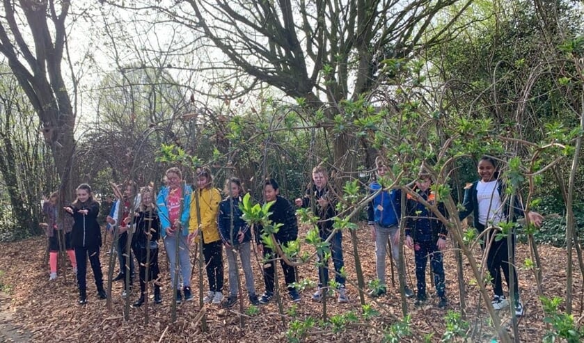 <p>Groep 5 en groep 6 staan in de wilgentunnel op een deel van de nieuwe snippers. </p>